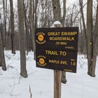 Trail Intersection: Scofield Lane - Great Swamp Boardwalk ico
