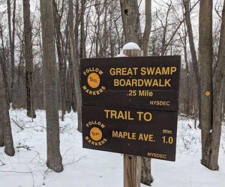 Trail Intersection: Scofield Lane - Great Swamp Boardwalk