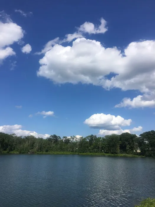 Washington Lake Picture 5