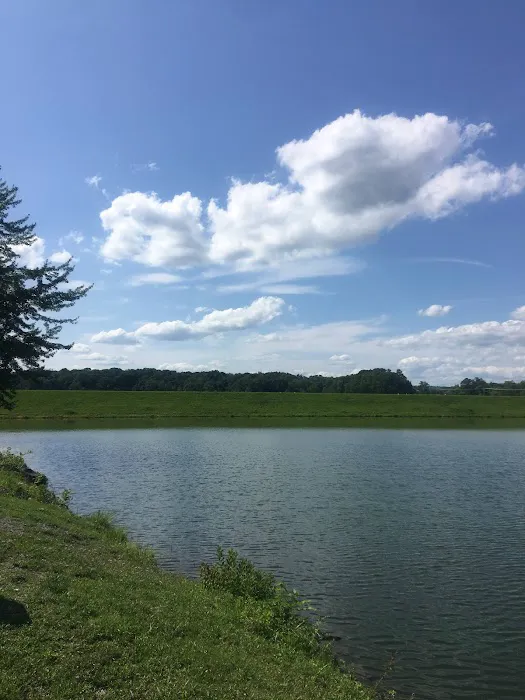 Washington Lake Picture 6