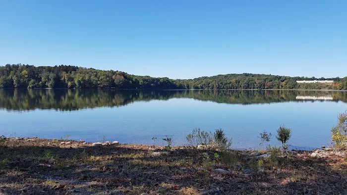 Washington Lake Picture 9