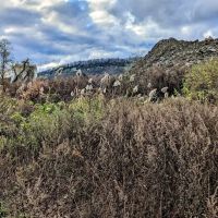 Little Falls Park ico
