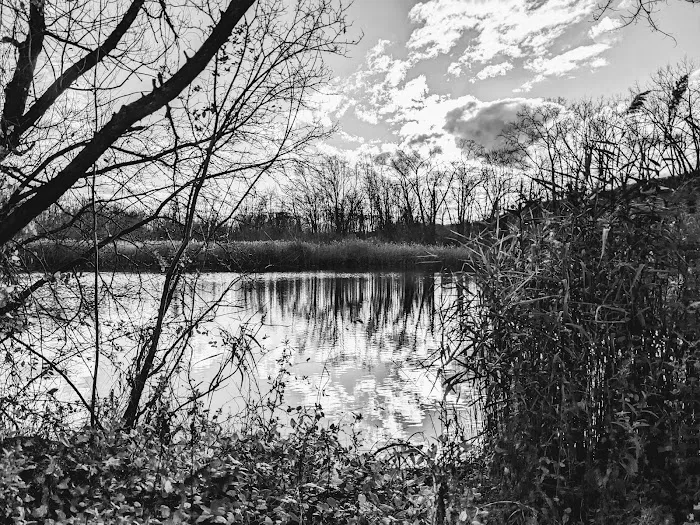 Little Falls Park Picture 8