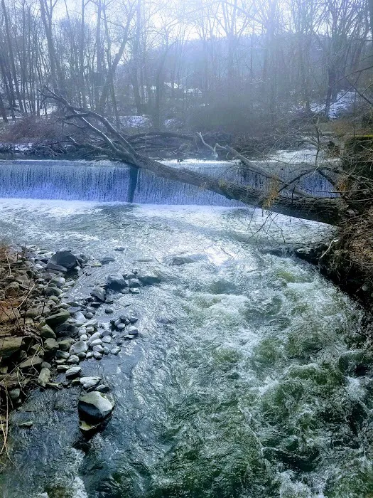 Little Falls Park Picture 10