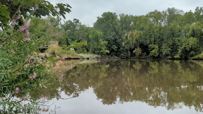 Little Falls Park Picture 9