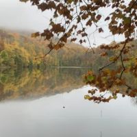 The Sanctuary Healing Farm + Gardens ico