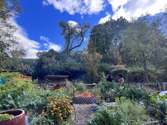 The Sanctuary Healing Farm + Gardens Picture 9