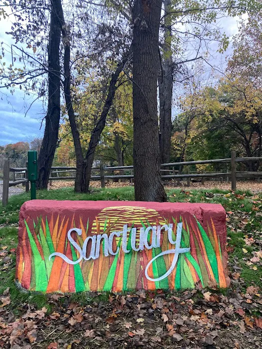 The Sanctuary Healing Farm + Gardens Picture 7