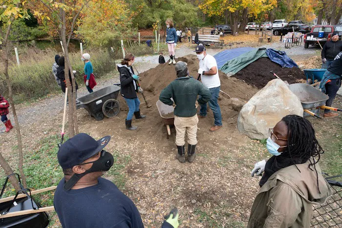 The Sanctuary Healing Farm + Gardens Picture 8