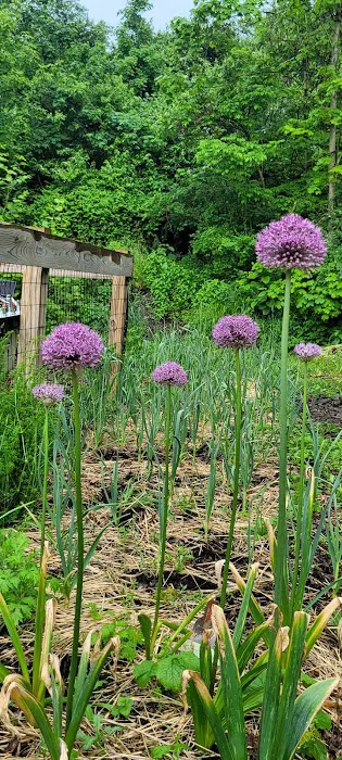 The Sanctuary Healing Farm + Gardens Picture 5