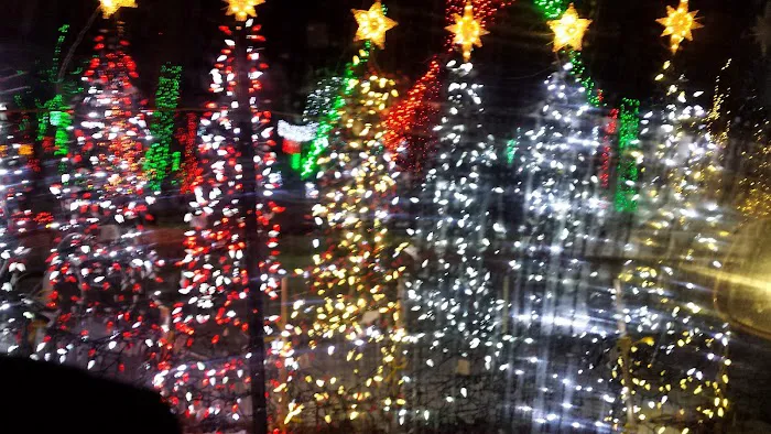 ERDAJT Picture 9