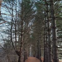 Red Wing Recreation Area ico