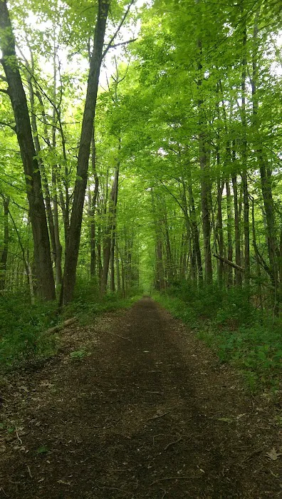 Red Wing Recreation Area Picture 10
