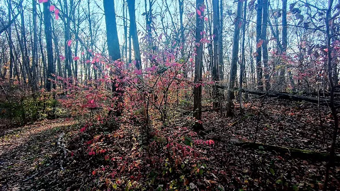 James Baird State Park Picture 4
