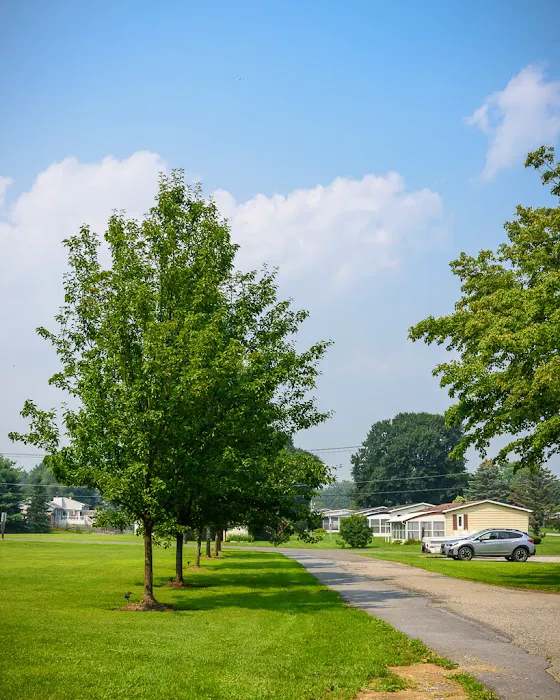 Tally Ho Estates Picture 8