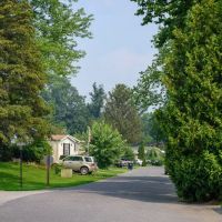 Tally Ho Estates ico