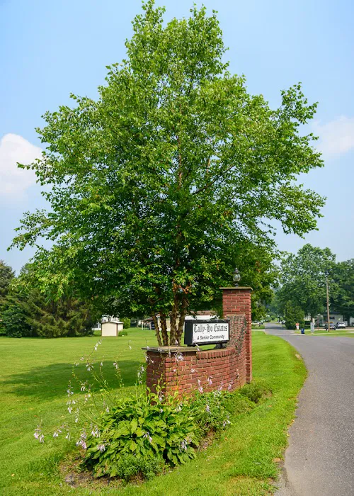 Tally Ho Estates Picture 6