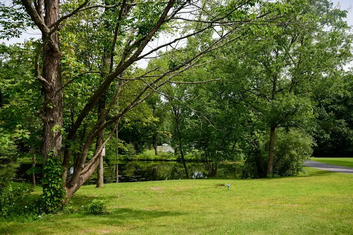 Catskill Pond Picture 9