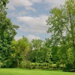 Catskill Pond