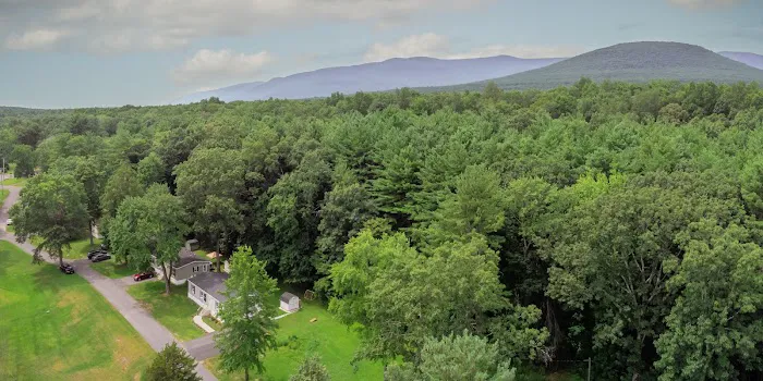Catskill Pond Picture 4