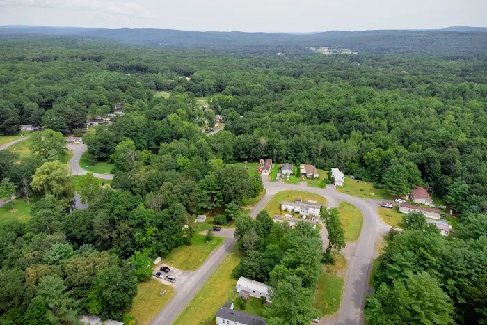 Catskill Pond Picture 10