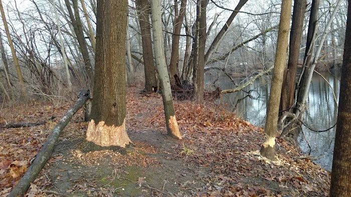 Stanley Still Sr Town Sport Park Picture 3