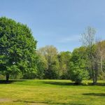 Veterans Memorial Park