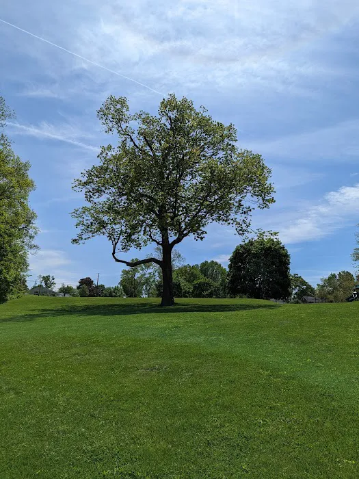Veterans Memorial Park Picture 10