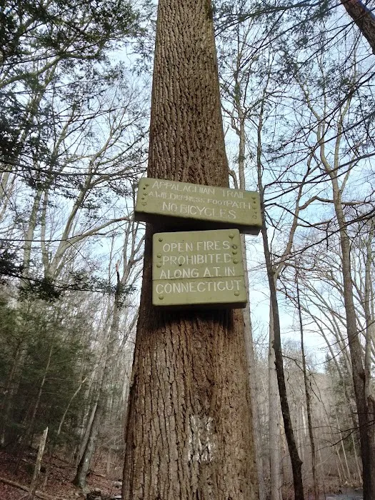 Hoyt road to bulls Bridge trail Picture 3