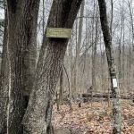 Appalachian Trail