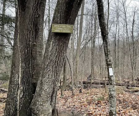 Appalachian Trail