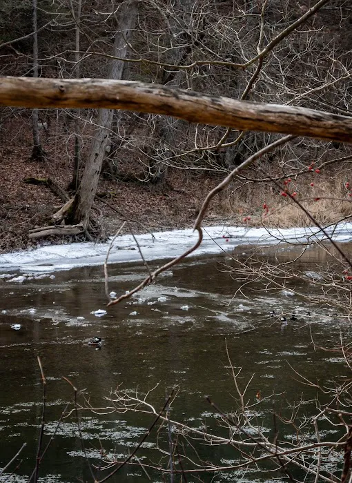 Tenmile River Picture 2