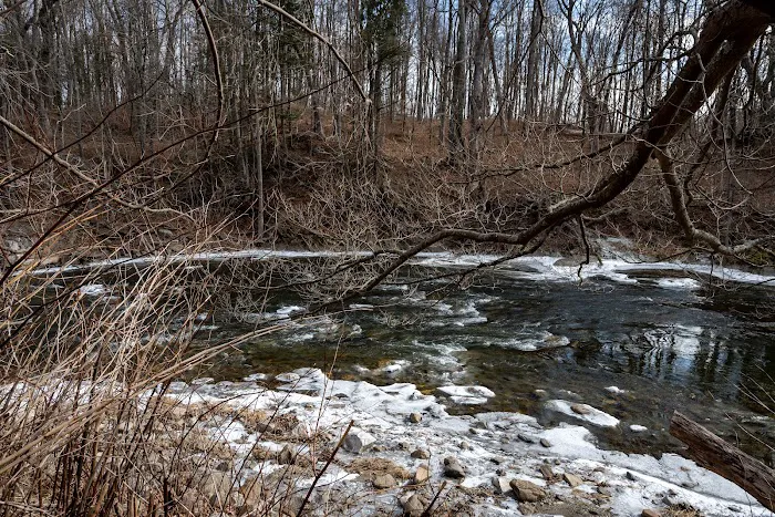 Tenmile River Picture 4