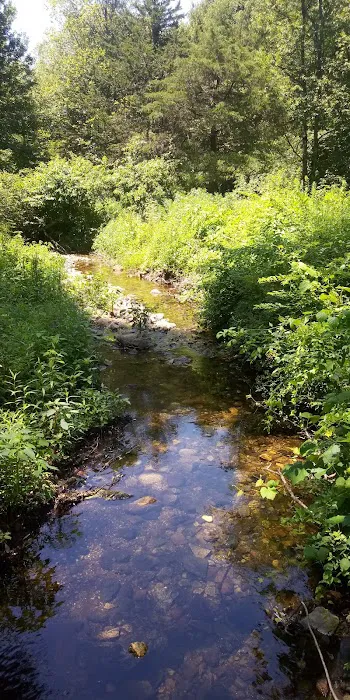 Shelton Land Trust Picture 8