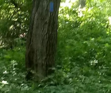 Shelton Land Trust