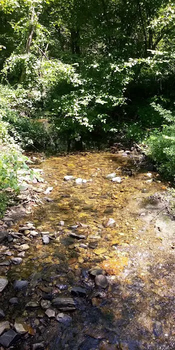 Shelton Land Trust Picture 6