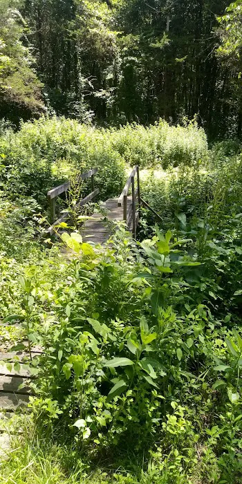 Shelton Land Trust Picture 7