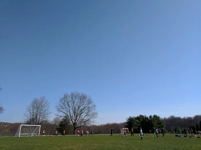 East Village Park Picture 1