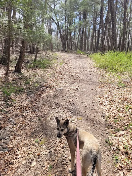 The Pole Bridge Preserve Picture 4