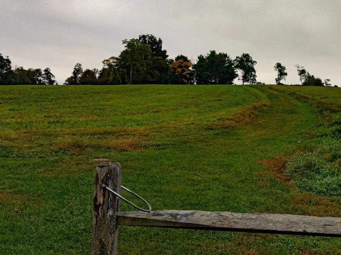Burr Farm Protected Open Space Picture 8