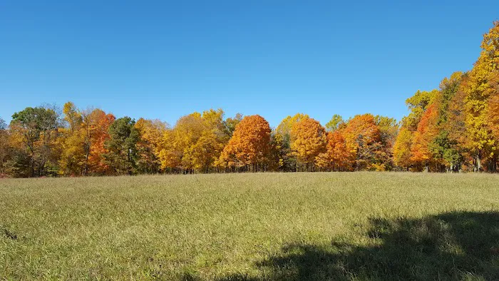 Gurski Farm Open Space Picture 8