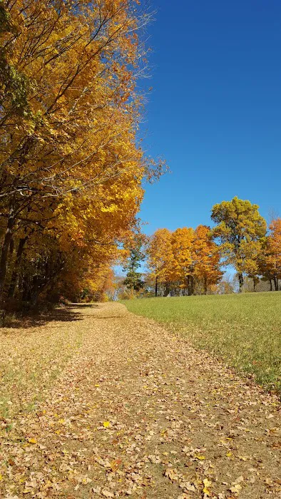 Gurski Farm Open Space Picture 2