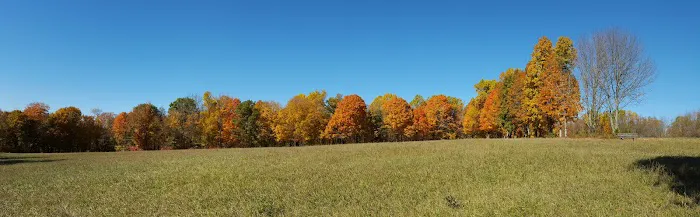 Gurski Farm Open Space Picture 1