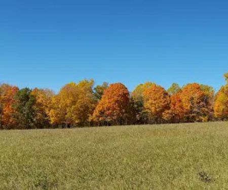 Gurski Farm Open Space