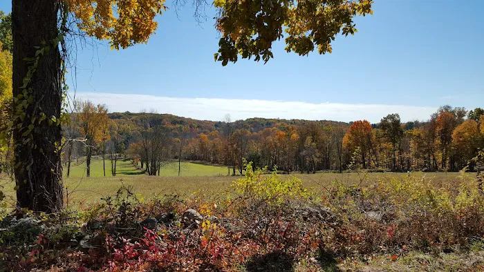 Gurski Farm Open Space Picture 5