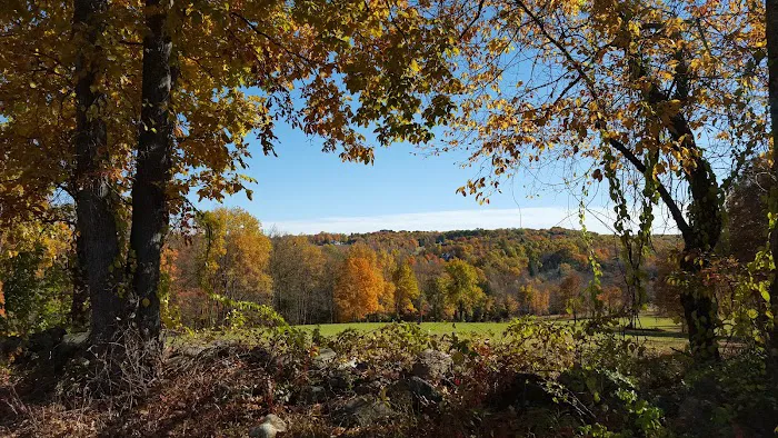 Gurski Farm Open Space Picture 7