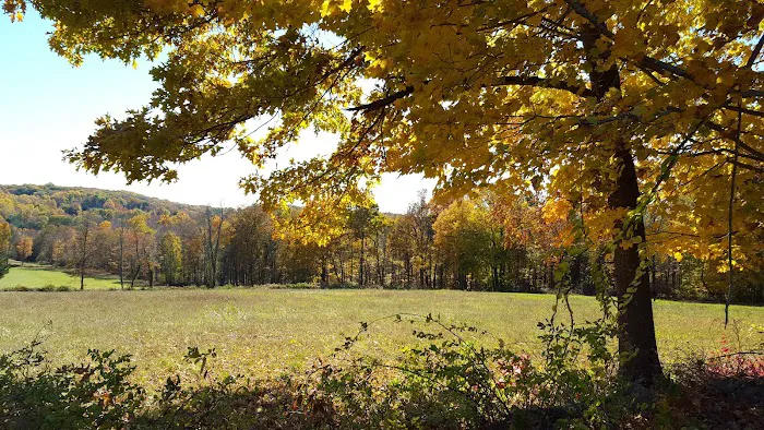 Gurski Farm Open Space Picture 4