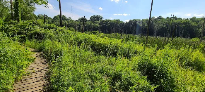 Williams Park Picture 1