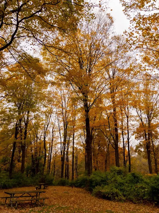 Williams Park Picture 7