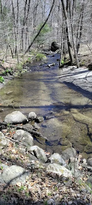 Williams Park Picture 4